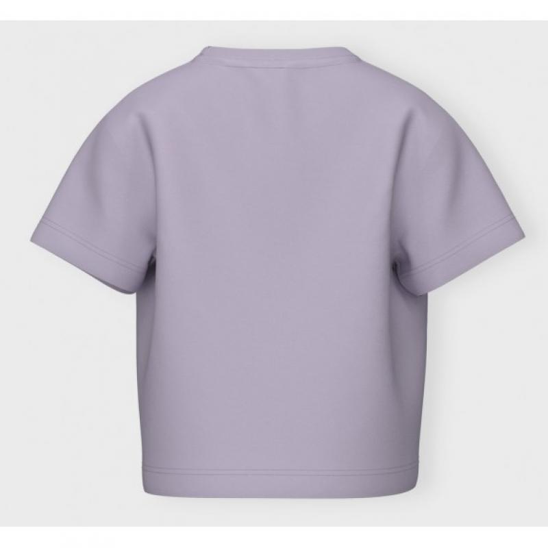 Name It Nmfvilinse Ss Nreg Top Kız Çocuk T-shirt 13228157 (13228157) Name It Nmfvilinse Ss Nreg Top Kız Çocuk T-shirt 13228157 (13228157)