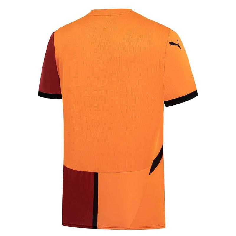 Puma Galatasaray Erkek İç Saha Forması 77965001 (77965001) Puma Galatasaray Erkek İç Saha Forması 77965001 (77965001)