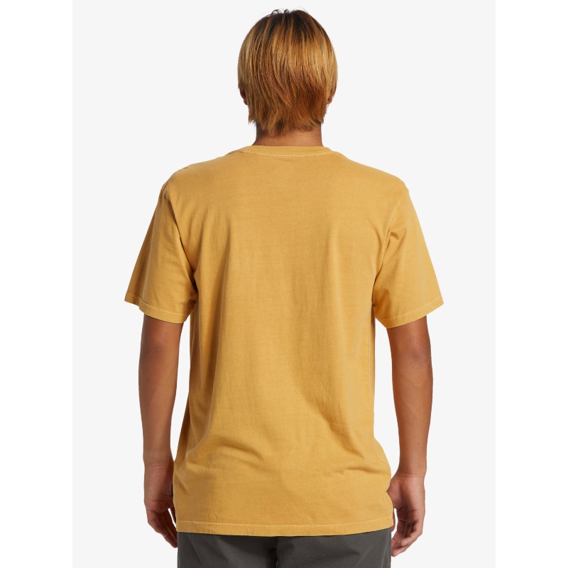 Quiksilver Salt Water Pkt Tee Swp Erkek T-shirt (AQYZT09558) Quiksilver Salt Water Pkt Tee Swp Erkek T-shirt (AQYZT09558)