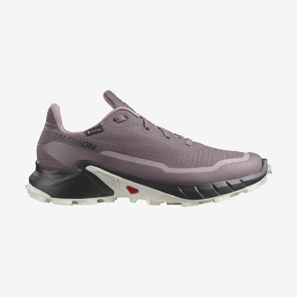 Salomon Alphacross 5 Gore-Tex Kadın Koşu Ayakkabısı (L47311000) Mor