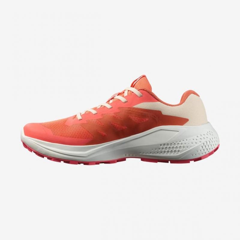 Salomon Alphaglide Kadın Koşu Ayakkabısı L47801700 (L47801700) Salomon Alphaglide Kadın Koşu Ayakkabısı L47801700 (L47801700)