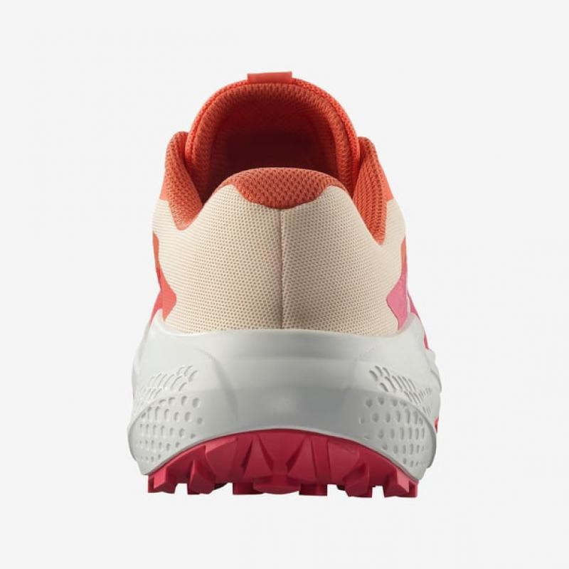 Salomon Alphaglide Kadın Koşu Ayakkabısı L47801700 (L47801700) Salomon Alphaglide Kadın Koşu Ayakkabısı L47801700 (L47801700)