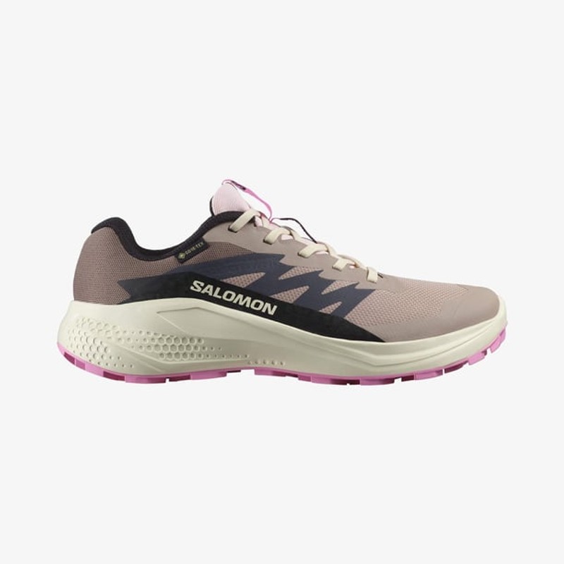 Salomon Alphaglide Gore-Tex Kadın Koşu Ayakkabısı L47857900 (L47857900) Bej