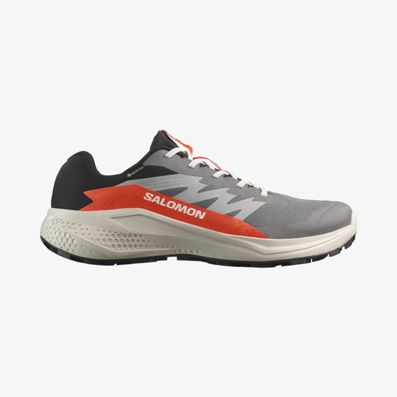 Salomon Alphaglide Gore-Tex Erkek Koşu Ayakkabısı L47975300 (L47975300) Gri