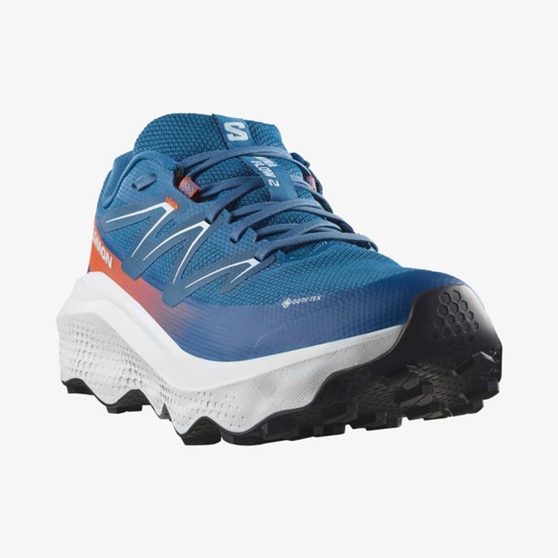 Salomon Ultra Flow 2 Gore-Tex Erkek Koşu Ayakkabısı L47981500 (L47981500) Salomon Ultra Flow 2 Gore-Tex Erkek Koşu Ayakkabısı L47981500 (L47981500)