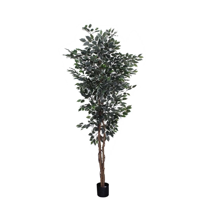 Euroflora Yapay Ficus Ağaç 12086 180 cm 