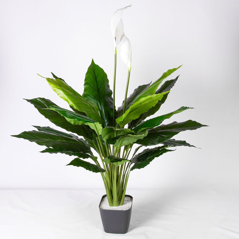 Euroflora HDYEN01919 Yapay Bitki Spathiphyllum-Yelken Çiçeği Gerçek Dokulu Yeşil-Beyaz 70 cm Euroflora HDYEN01919 Yapay Bitki Spathiphyllum-Yelken Çiçeği Gerçek Dokulu Yeşil-Beyaz 70 cm