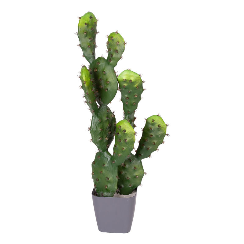 Euroflora HDYEN02716 Yapay Kaktüs Saksılı 2 Gövde 72 cm 
