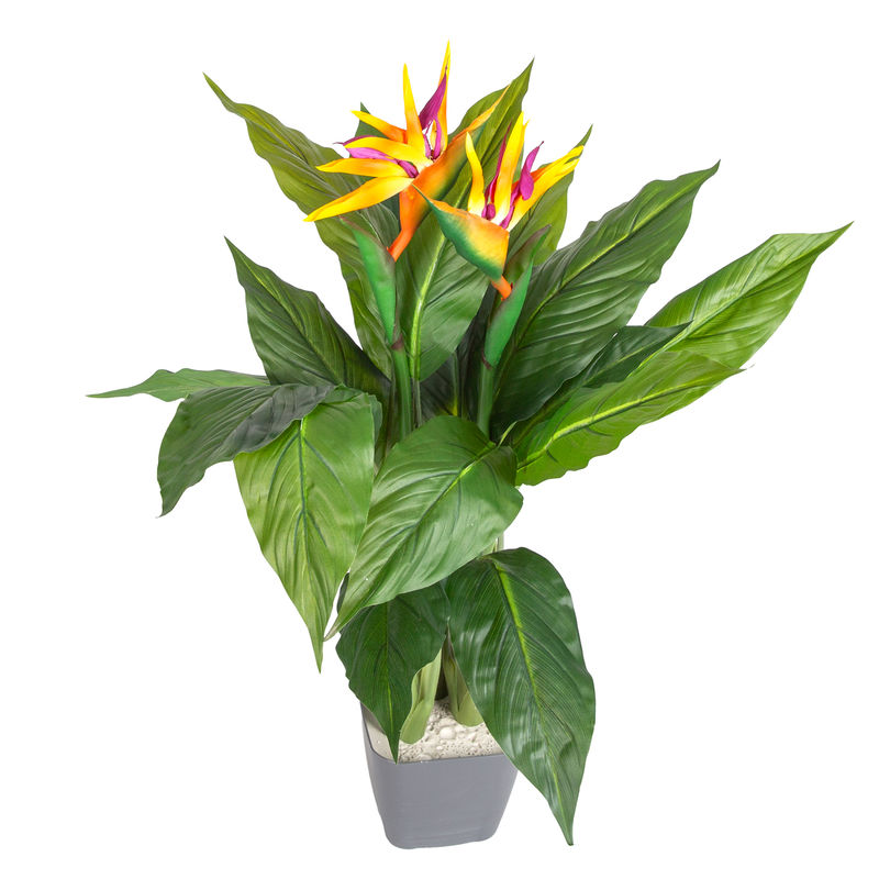 Euroflora HDYEN03663 Yapay Starliçe Çiçekli 18 Yaprak 2 Çiçekli Yeşil-Turuncu 80 cm 