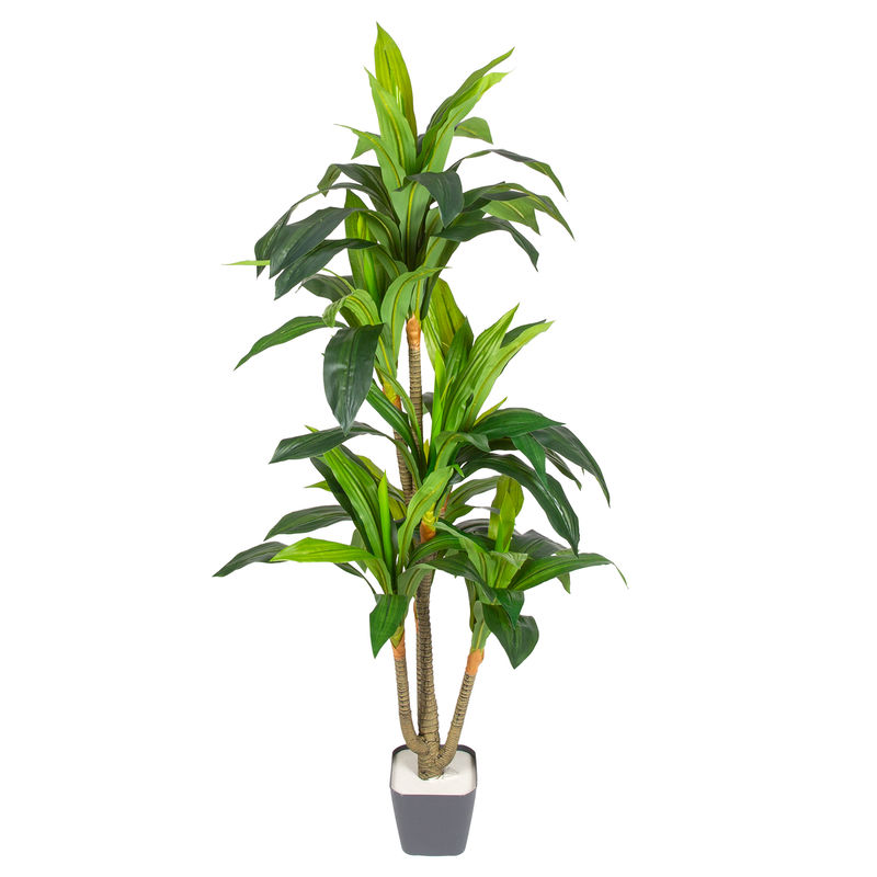Euroflora HDYEN03664 Yapay Ağaç Drasena Gerçek Dokulu Yeşil 130 cm 